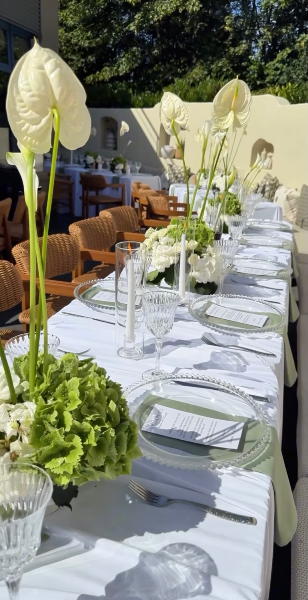 Gestecke aus grünen und weißen Hortensien mit hohen weißen Anthurien und Calla auf einer Hochzeitstafel in der Sonne